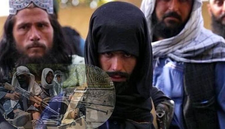 Diamond and Silk Article