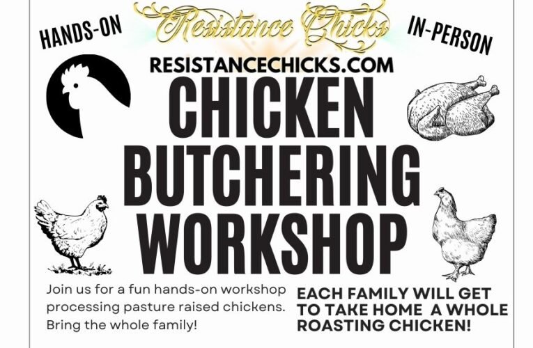 Chicken Butchering Workshop 2023