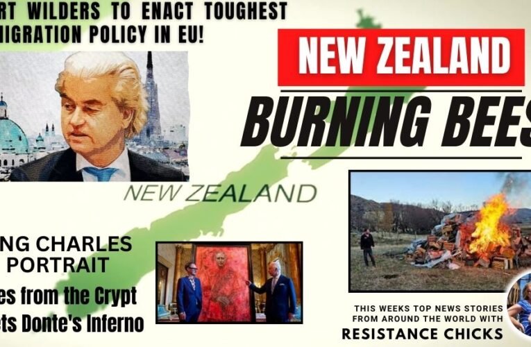 New Zealand: Burning Bees