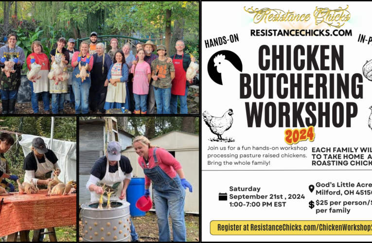 Wanna Learn How to Butcher Your Own Chickens!?